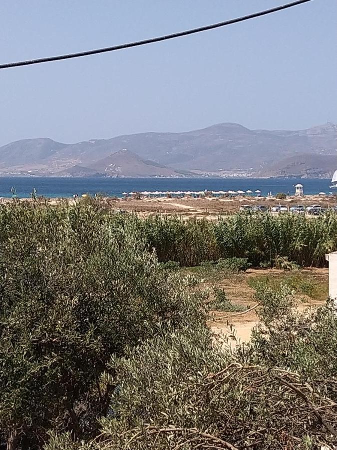 Nikoletta Studios 1 Agios Prokopios  Eksteriør billede